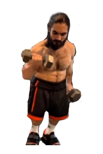arm day gnome